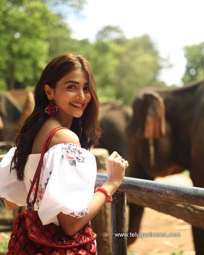 Pooja Hegde