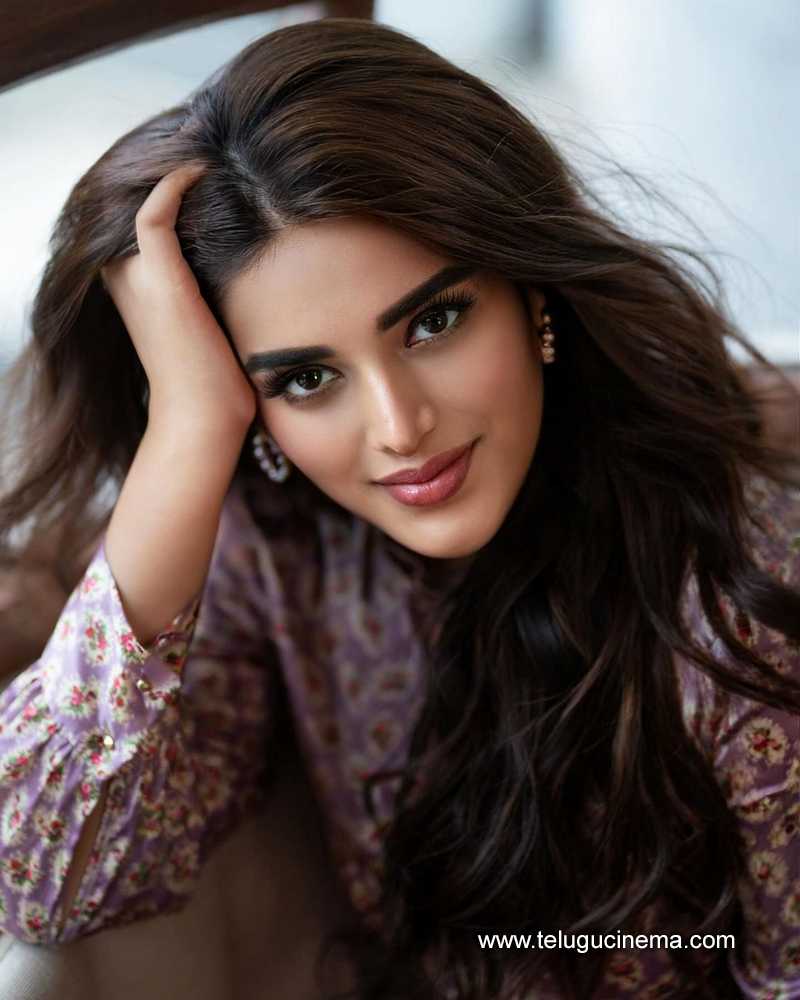 Nidhhi Agerwal's smiling pose
